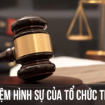 Các quan điểm về trách nhiệm hình sự của tổ chức