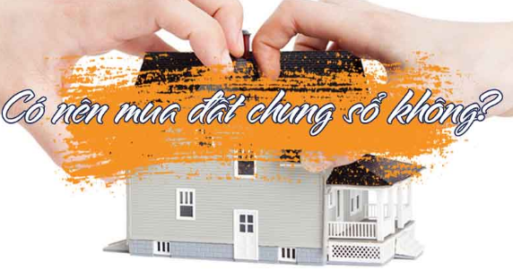 NHỮNG RỦI RO PHÁP LÝ KHI MUA ĐẤT CHUNG SỔ